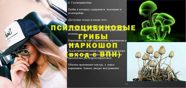 apvp Богородск