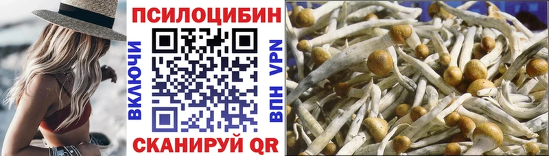 Галлюциногенные грибы GOLDEN TEACHER Кола